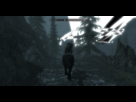 https://image.noelshack.com/fichiers/2012/44/1351827359-skyrim-bug.png