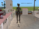 https://image.noelshack.com/fichiers/2012/44/1351894341-sims-capture-7740.jpg