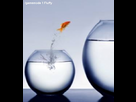 https://image.noelshack.com/fichiers/2012/44/1351894695-grande-bretagne-une-arriere-grand-mere-condamnee-pour-vente-illegale-d-un-poisson-rouge-20233-w250.jpg