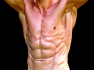 https://image.noelshack.com/fichiers/2012/44/1351975226-corps-muscle.jpg
