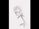 https://image.noelshack.com/fichiers/2012/44/1352044405-rose.jpg