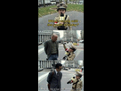 https://image.noelshack.com/fichiers/2012/45/1352321970-highfive.jpg