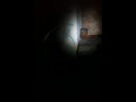 https://image.noelshack.com/fichiers/2012/45/1352575587-photo-1.png