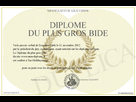 https://image.noelshack.com/fichiers/2012/45/1352635153-diplome-bide.jpg