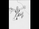 https://image.noelshack.com/fichiers/2012/45/1352663859-spidey-001.jpg