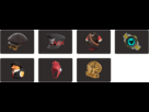 https://image.noelshack.com/fichiers/2012/46/1353105001-items.png