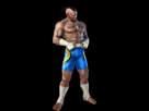 https://image.noelshack.com/fichiers/2012/46/1353195101-bruce.png
