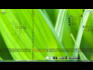 https://image.noelshack.com/fichiers/2012/47/1353610870-bureau.png