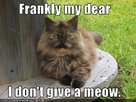 https://image.noelshack.com/fichiers/2012/47/1353652562-funny-pictures-your-cat-does-not-care.jpg