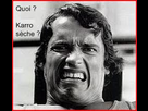 https://image.noelshack.com/fichiers/2012/47/1353706289-karrotroll.jpg