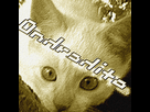 https://image.noelshack.com/fichiers/2012/47/1353801989-logo-or.png