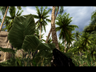 https://image.noelshack.com/fichiers/2012/48/1353933487-crysis-photoreal-mod-8.jpg