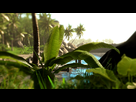 https://image.noelshack.com/fichiers/2012/48/1354113952-1297948053-crysis-20110131-19224249.png