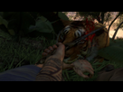 https://image.noelshack.com/fichiers/2012/48/1354155972-farcry3-d3d11-2012-11-29-03-19-52-97.jpg
