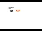 https://image.noelshack.com/fichiers/2012/48/1354189434-voila.png