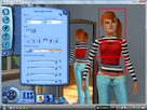 https://image.noelshack.com/fichiers/2012/49/1354727311-bug-sims-1.png