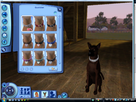https://image.noelshack.com/fichiers/2012/49/1354727696-bug-sims-5.png