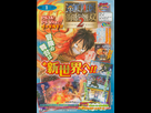 https://image.noelshack.com/fichiers/2012/49/1354741369-one-piece-pirate-warriors-2.jpg