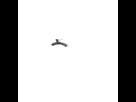 https://image.noelshack.com/fichiers/2012/49/1354901604-test-1.png