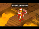 https://image.noelshack.com/fichiers/2012/49/1354967520-brackounette.jpg