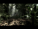 https://image.noelshack.com/fichiers/2012/49/1354990646-crysis-2012-12-08-19-12-36-87.png