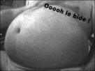 https://image.noelshack.com/fichiers/2012/50/1355328886-110202055852547042.jpg