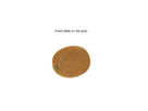 https://image.noelshack.com/fichiers/2012/50/1355515951-kiwi01.png