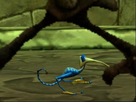 https://image.noelshack.com/fichiers/2012/50/1355591995-strange-bird.jpg