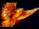 https://image.noelshack.com/fichiers/2012/51/1355760641-fractal-phoenix-by-aceman67.jpg