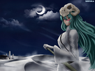 https://image.noelshack.com/fichiers/2012/51/1355762389-61247-bleach-neliel-espada.jpg