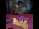 https://image.noelshack.com/fichiers/2012/51/1355771156-donnie-mlp.jpg
