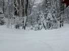 https://image.noelshack.com/fichiers/2012/51/1355851647-iphone-image-12-18-2012.jpg