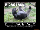 https://image.noelshack.com/fichiers/2012/52/1356353242-facepalm.jpg