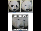 https://image.noelshack.com/fichiers/2012/52/1356365293-funny-panda-without-eye-circles.jpg