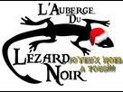 https://image.noelshack.com/fichiers/2012/52/1356390932-lizard1.jpg
