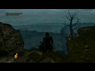 https://image.noelshack.com/fichiers/2012/52/1356404549-dark-souls-bug.png