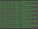 https://image.noelshack.com/fichiers/2012/52/1356655288-cawotteftw.png