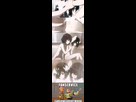 https://image.noelshack.com/fichiers/2012/52/1356720762-sans-titre-13.png
