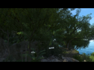 https://image.noelshack.com/fichiers/2012/52/1356816855-capture3.png
