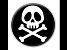 https://image.noelshack.com/fichiers/2013/01/1357084870-badge-captain-harlock.jpg