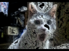 https://image.noelshack.com/fichiers/2013/01/1357088168-1344880168-osef2.gif