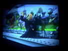 https://image.noelshack.com/fichiers/2013/01/1357209238-kaos-se-lache-devant-les-skylanders.jpg