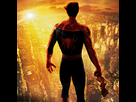 https://image.noelshack.com/fichiers/2013/01/1357250307-spidey.jpg