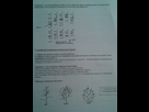 https://image.noelshack.com/fichiers/2013/01/1357408118-android-image-01-05-2013.jpg