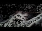https://image.noelshack.com/fichiers/2013/01/1357432477-louengif.gif