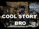 https://image.noelshack.com/fichiers/2013/01/1357434858-cool-story-bro.gif