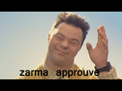 https://image.noelshack.com/fichiers/2013/02/1357931148-zarma.jpg