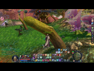 https://image.noelshack.com/fichiers/2013/02/1357934689-aion0242.jpg