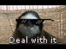 https://image.noelshack.com/fichiers/2013/02/1358088026-1331158157960.gif