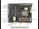 https://image.noelshack.com/fichiers/2013/03/1358273772-sabertooth-p67.jpg